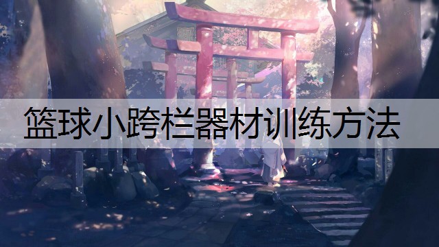 篮球小跨栏器材训练方法