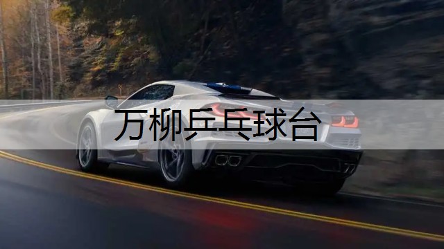 万柳乒乓球台