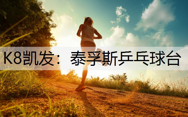 K8凯发：泰孚斯乒乓球台