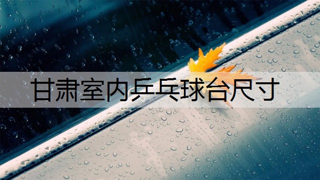 甘肃室内乒乓球台尺寸