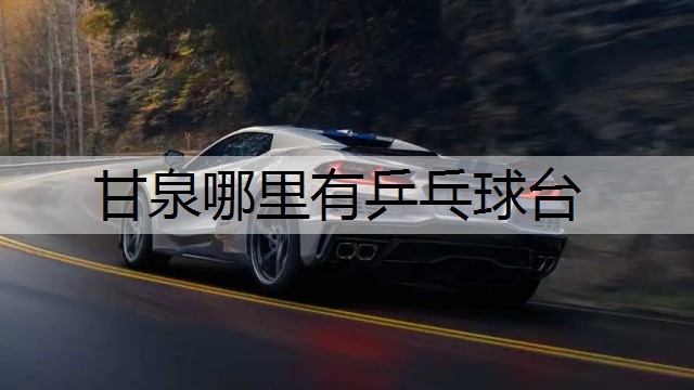 甘泉哪里有乒乓球台