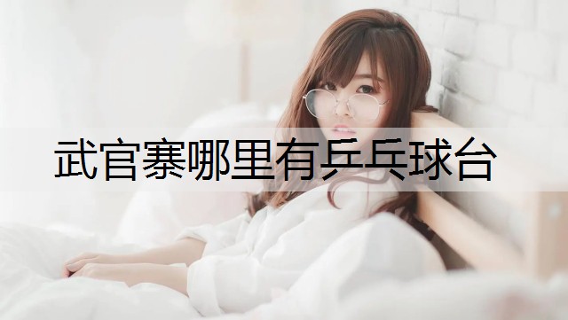 武官寨哪里有乒乓球台