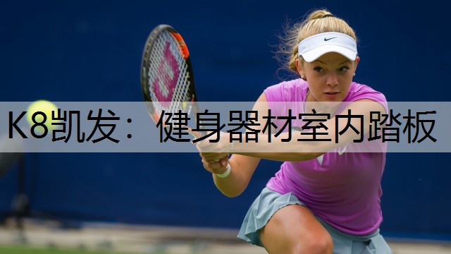 K8凯发：健身器材室内踏板