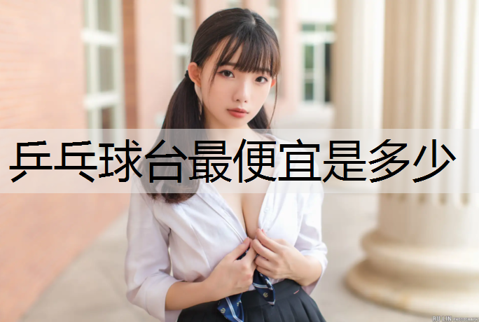 乒乓球台最便宜是多少