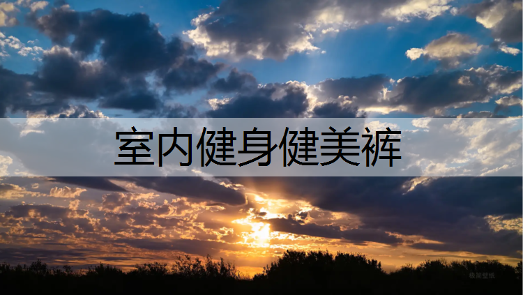 室内健身健美裤