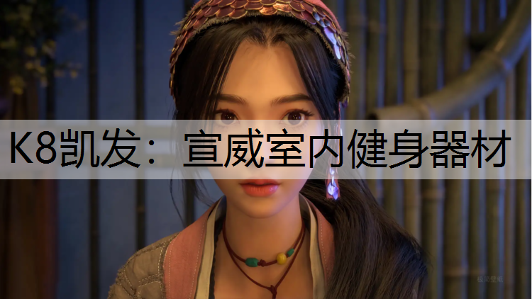 K8凯发：宣威室内健身器材