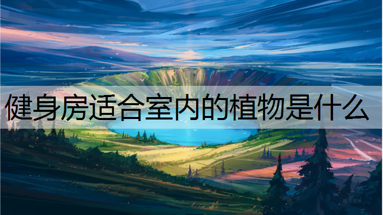 健身房适合室内的植物是什么