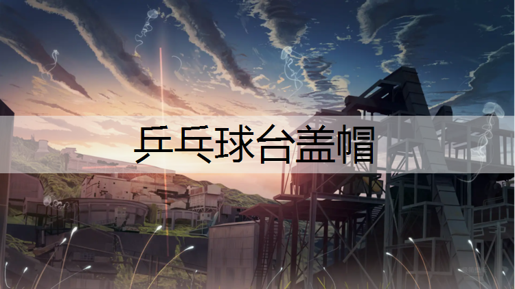 乒乓球台盖帽