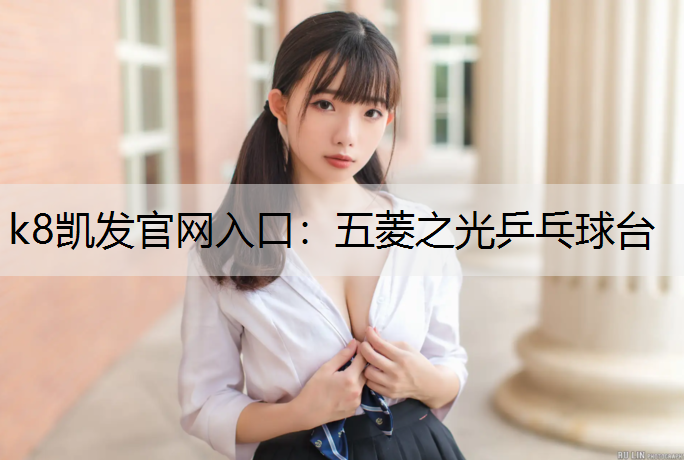 k8凯发官网入口：五菱之光乒乓球台