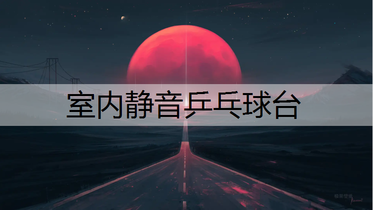 室内静音乒乓球台