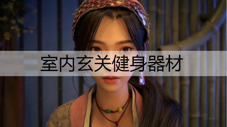 室内玄关健身器材