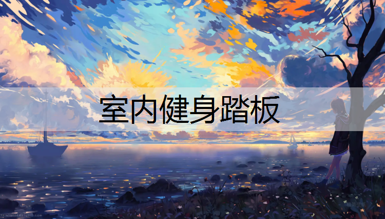 室内健身踏板