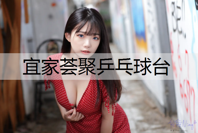 宜家荟聚乒乓球台