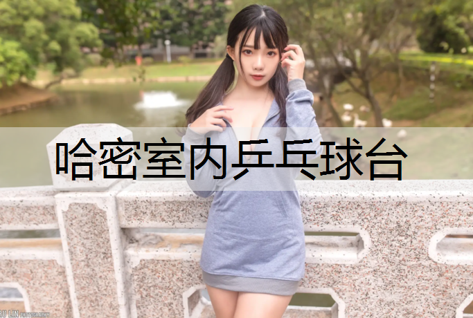 哈密室内乒乓球台