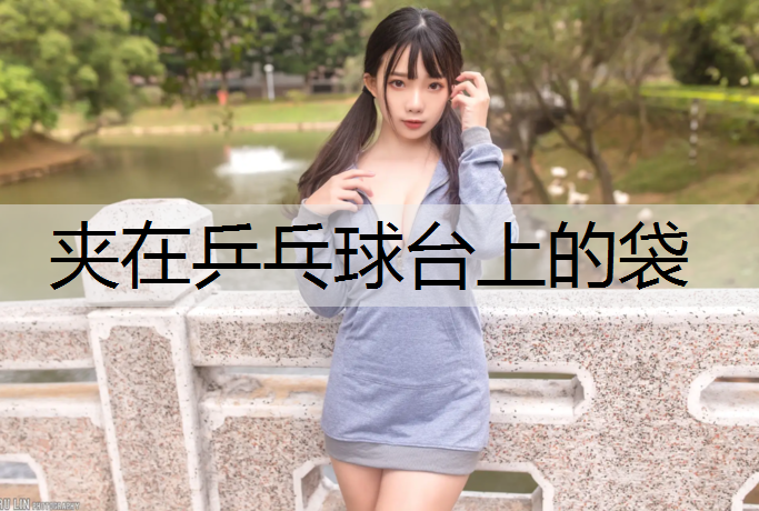 夹在乒乓球台上的袋