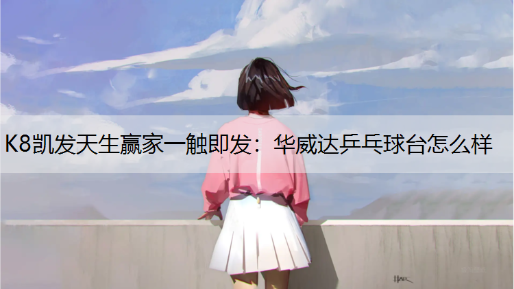 K8凯发天生赢家一触即发：华威达乒乓球台怎么样