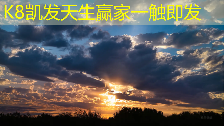 K8凯发中国官方网站：混合塑胶跑道解剖图