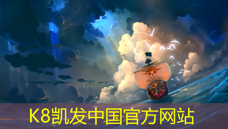 K8凯发：像踏步机的健身器材