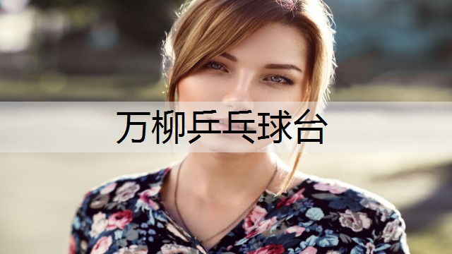 万柳乒乓球台