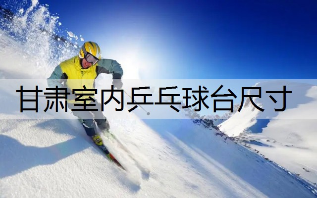 甘肃室内乒乓球台尺寸