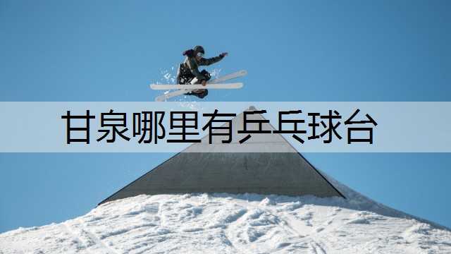 甘泉哪里有乒乓球台