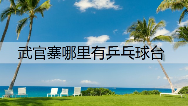 武官寨哪里有乒乓球台