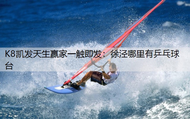 徐泾哪里有乒乓球台