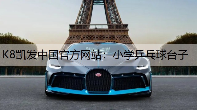 小学乒乓球台子