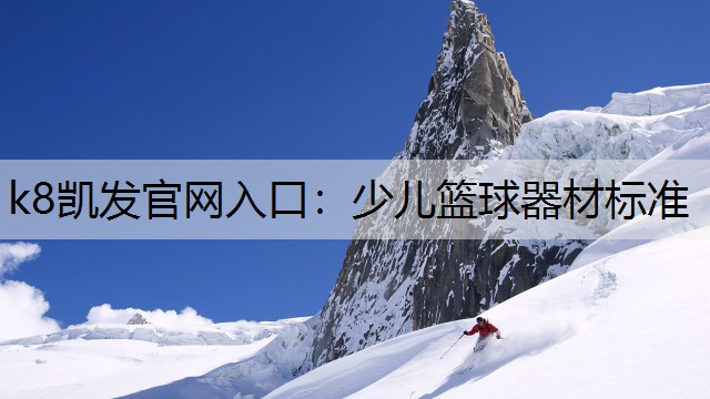 少儿篮球器材标准