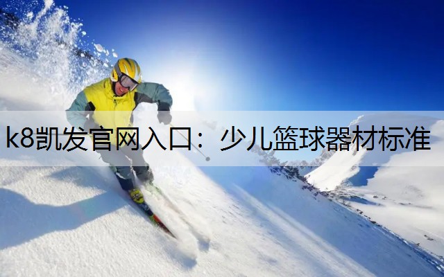 少儿篮球器材标准