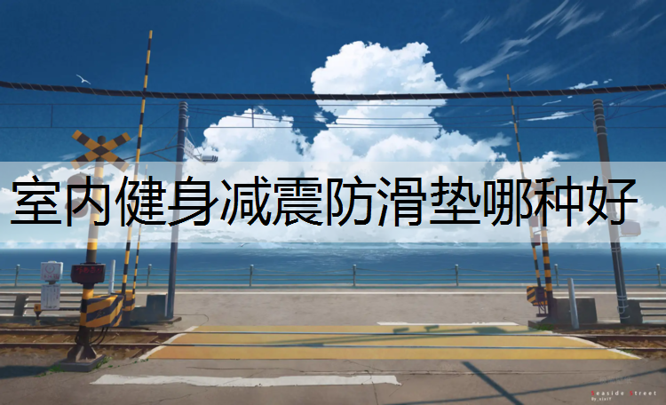 室内健身减震防滑垫哪种好