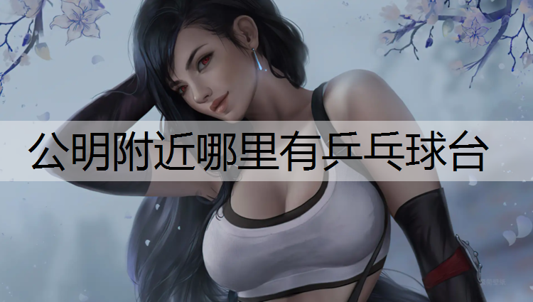 公明附近哪里有乒乓球台