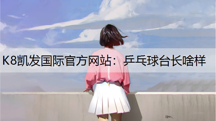 乒乓球台长啥样