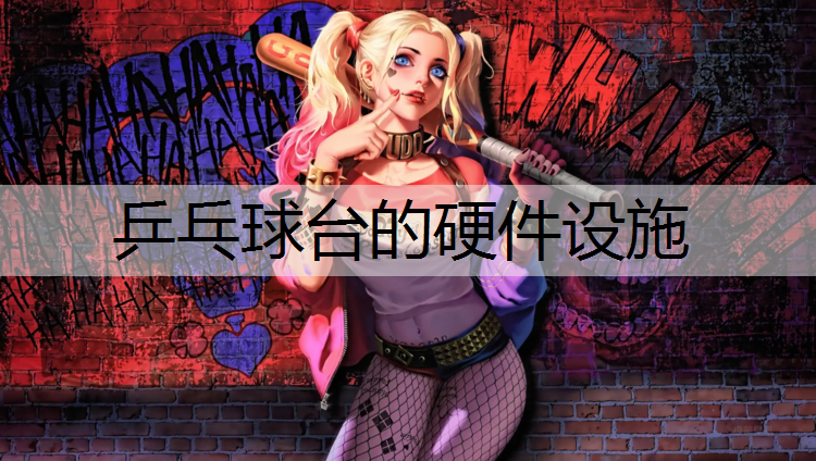 乒乓球台的硬件设施