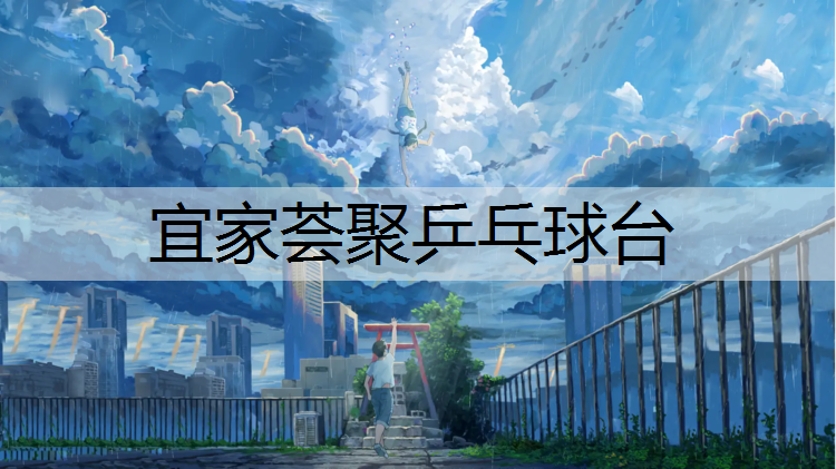宜家荟聚乒乓球台