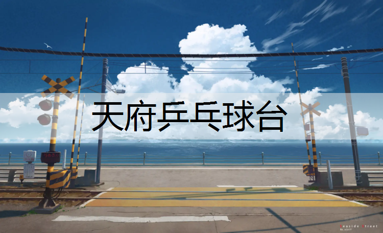 天府乒乓球台