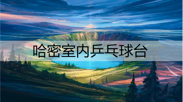 哈密室内乒乓球台