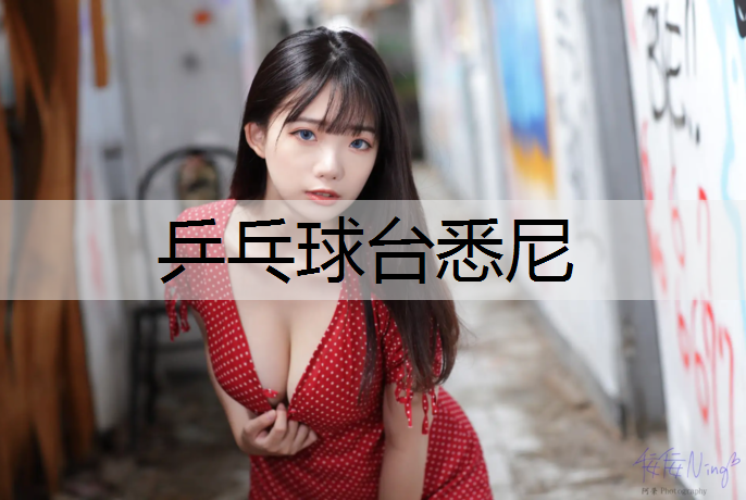 乒乓球台悉尼