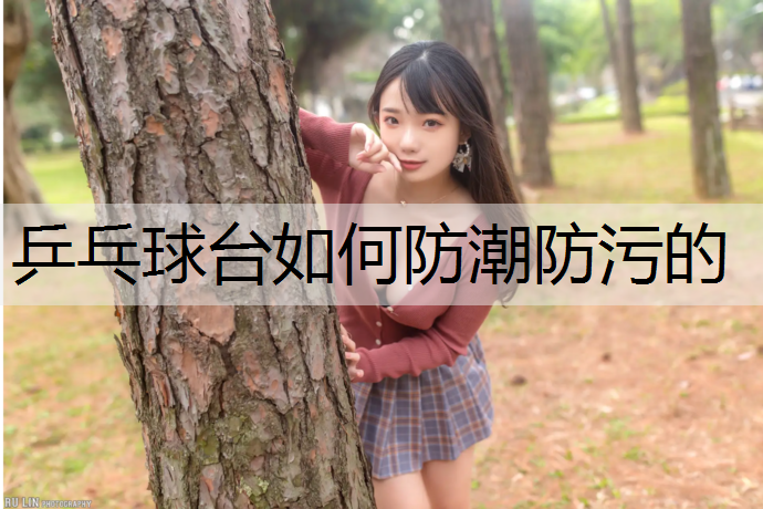 乒乓球台如何防潮防污的