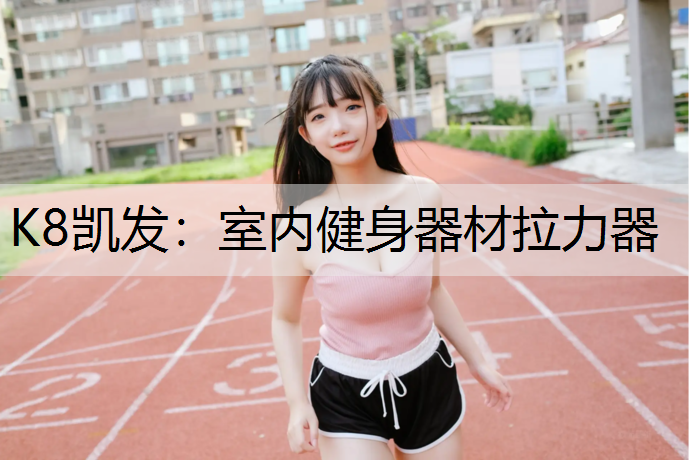 室内健身器材拉力器