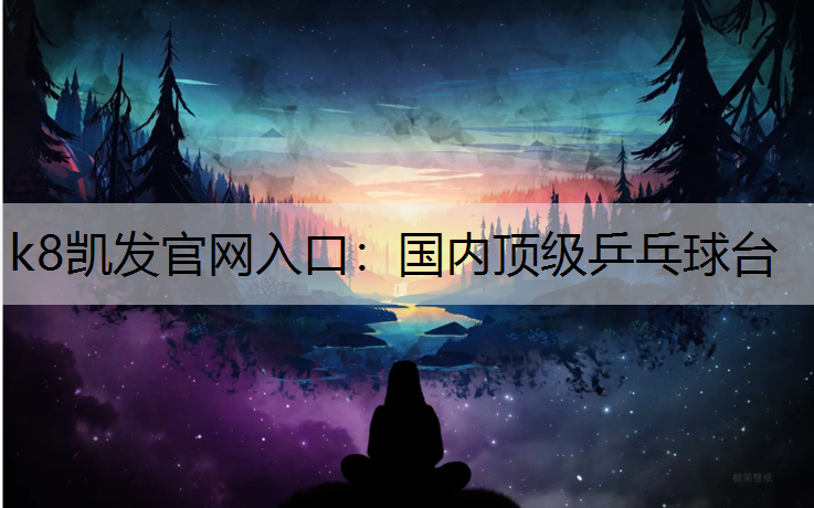 国内顶级乒乓球台