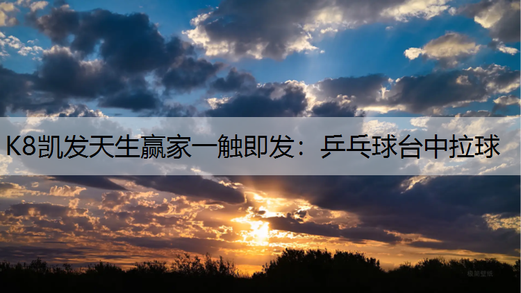 乒乓球台中拉球